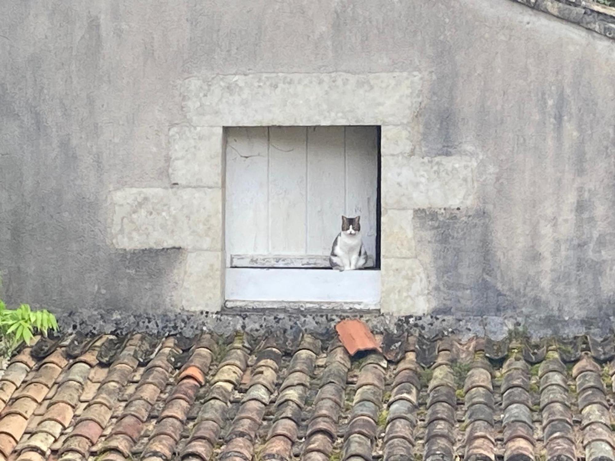 Mazette! Le Chateau Niort Esterno foto